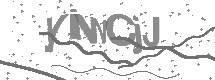 visual captcha